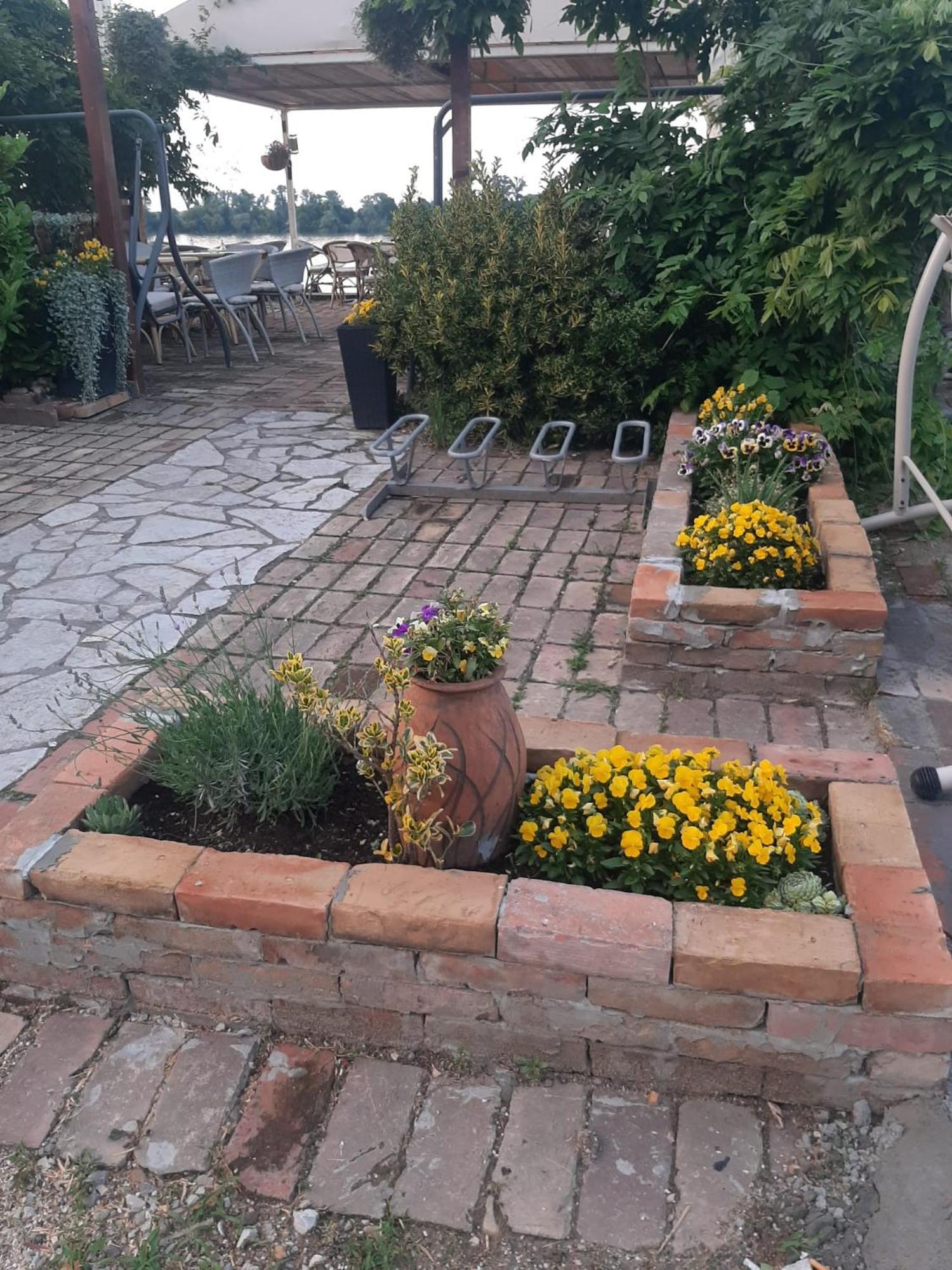 River Hostel بلغراد المظهر الخارجي الصورة